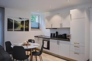 Großzügiges Apartment am Altmühlsee mit Parkplatz - Gunzenhausen - 1