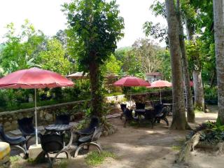 Rise and Shine river park resort - 1