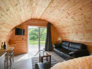Barcud Coch - Uk44539 - 8