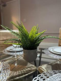 Cozy 3-Bed House in Leicester City Centre - Leicester - 9