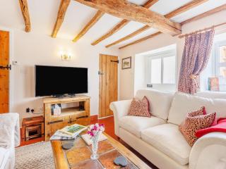 Elsies Cottage - Pontesbury - 8
