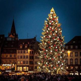 Gites Spa Strasbourg - Villa Ours - SPA Privé, Sauna, Borne d'arcade, Babyfoot - 2