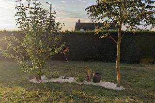 Maison à St Samson avec jardin et vue sur le marais de la Dives - Saint-Samson - 3