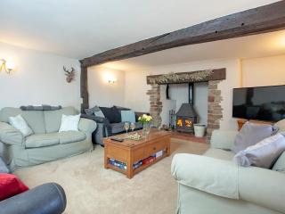 Four Seasons Cottage - Newton Saint Petrock - 6