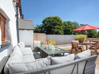 Four Seasons Cottage - Newton Saint Petrock - 8