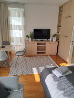 Manhattan studio Seboj Belvil - Novi Beograd - 8