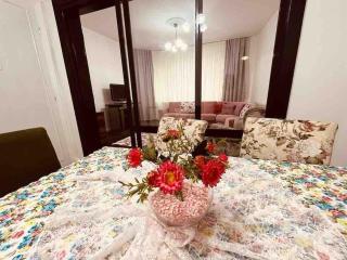 Arya 3 bedroom family pink flat - Istanbul - 9