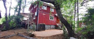 Cabañas y Casas Hualles - 8