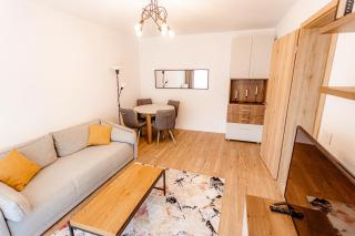 Apart B&V 203 Coresi - Elegant Mountain Retreat - Braşov - 2
