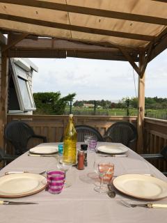 Mobil home IRM Excellence dans parc Natura 2000 Lac des rêves piscine ect sous fun pass - Lattes - 9