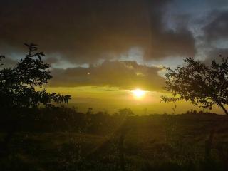 Monte Green Studio - Monteverde - 1