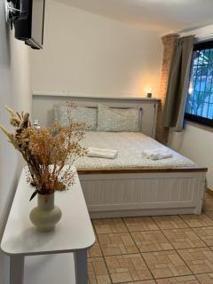 Anna House - Fiumicino - 9