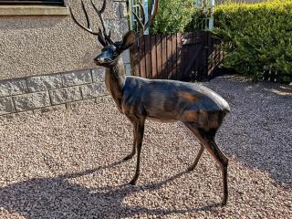 Willow Lodge - Macduff - 7