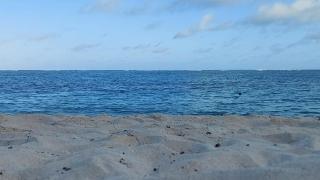 Artists House East - 1