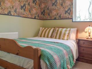 Bronrhiw - Newport - 2