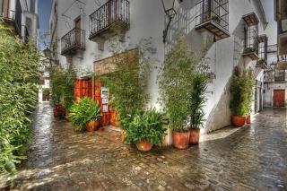 Livingtarifa Paloma - Tarifa - 9