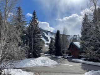 Aspen Home - Ketchum - 7