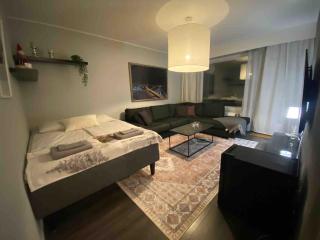 Apartment in the heart of the city of Rovaniemi - 0