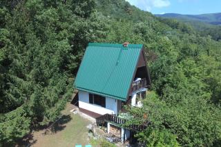 UNDER THE GREEN ROOF - - 8
