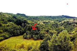 UNDER THE GREEN ROOF - - 7
