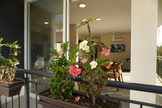 Aqua Reef Condos Sayulita Apt 2 - 4