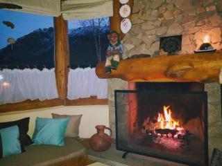 Bosque de Amancay - Bariloche - 5