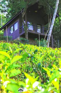 Knuckles breeze villas - 5