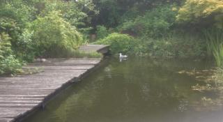 Haus Einfeld - kleine ruhige Ferienwohnung - 2