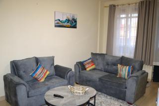 Texas Homes Meru 1 and 2 Bedroom Apartments - Meru - 8