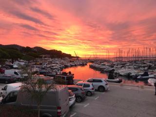 Bord de mer aux Pins Penchés - 1