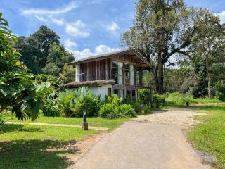 เนินแจ่มใส - NernJamSai - Chiang Mai - 8