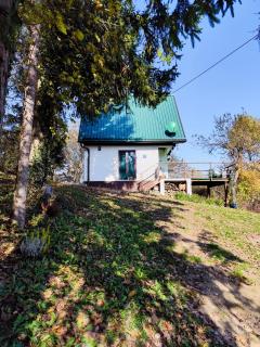 UNDER THE GREEN ROOF - - 6