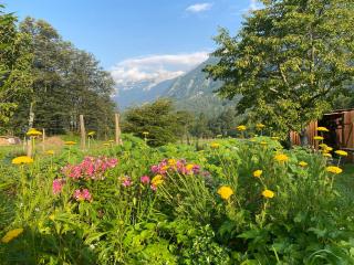 Sweet Bee Cottage - Bovec - 7