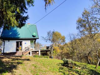 UNDER THE GREEN ROOF - - 6