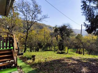 UNDER THE GREEN ROOF - - 2