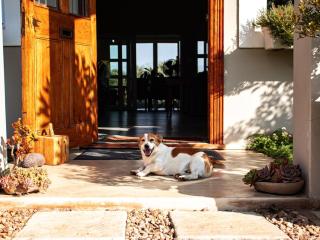Tranquility Farmstays - Winterton - 3