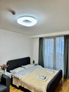 New Gudauri Loft 2 #226 - Goedaoeri - 6