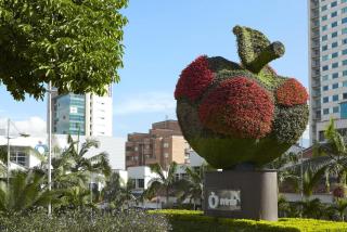 Apartaestudio amplio con Terraza y Parking 102 - Medellín - 7