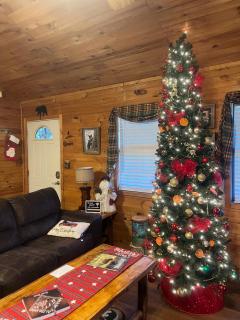 Blue Mist Mountain Retreat - 8