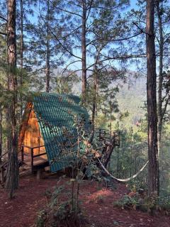 Cabaña privada en el bosque, cerca al rio Starlinkk - San Mateo Río Hondo - 3