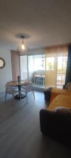 Appartement au pied de la plage - Saint cyprien - 1