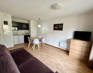 Appartement - Besse-et-Saint-Anastaise - 1