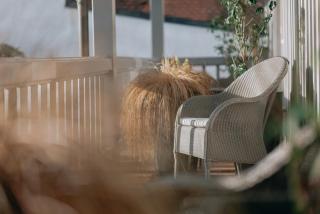 Traube Blansingen - 6