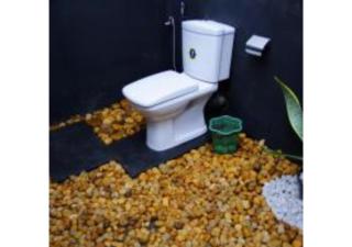 Ivory Safari Lodge - 2
