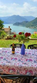 Gipsy - x 6 Garden & Magic - 3