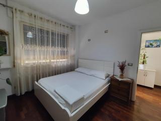Cozy Apartment in the Center of Tirana - Tirana - 3