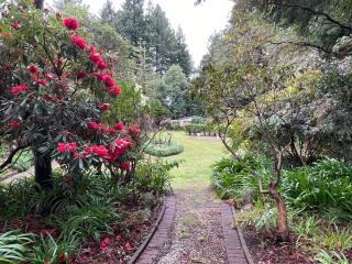 Garden Paradise in Rotorua with Pool - Rotorua - 1