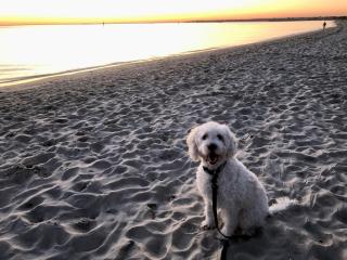 BEACH Living - “A bit of Mykonos near Mordialloc!” - 4