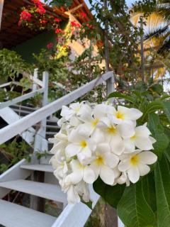 Casa Praiana Moitas - 1