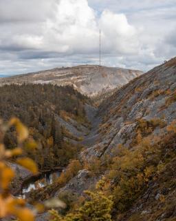 Jussan Luppo - Original Log Cabin, Sauna, Ski 100m - 3